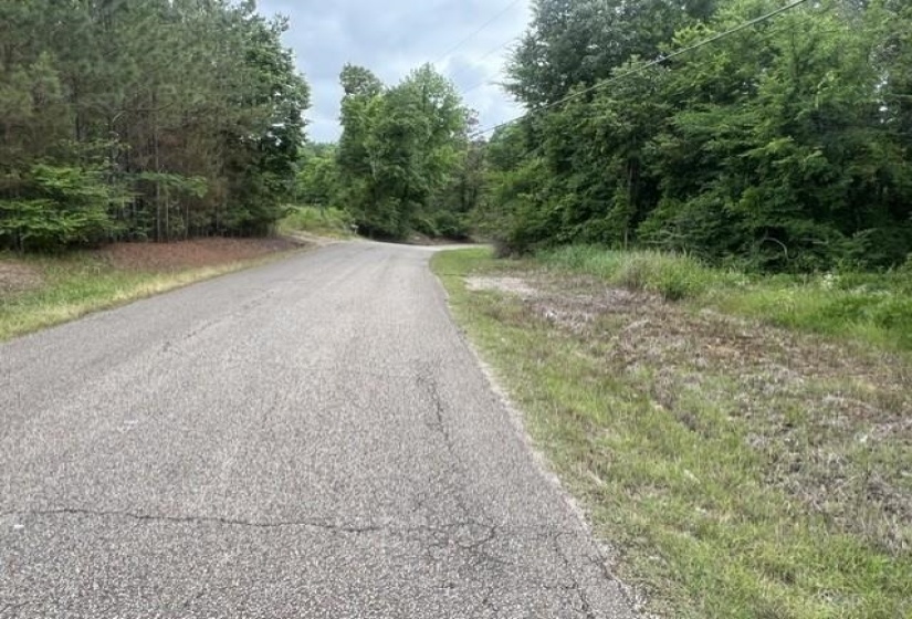 BURNETT MILLS RD, Bolivar, Tennessee 38008, ,Land,For Sale,BURNETT MILLS,10222148