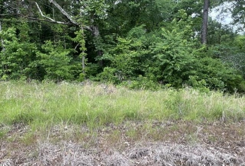 BURNETT MILLS RD, Bolivar, Tennessee 38008, ,Land,For Sale,BURNETT MILLS,10222148
