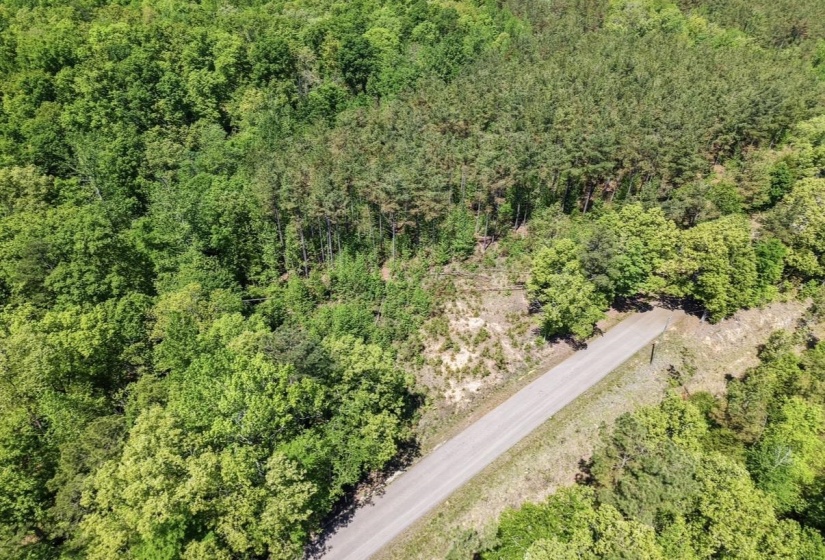 0 ED BARHAM TRACT 1 RD, Bethel Springs, Tennessee 38315, ,Land,For Sale,ED BARHAM TRACT 1,10222149