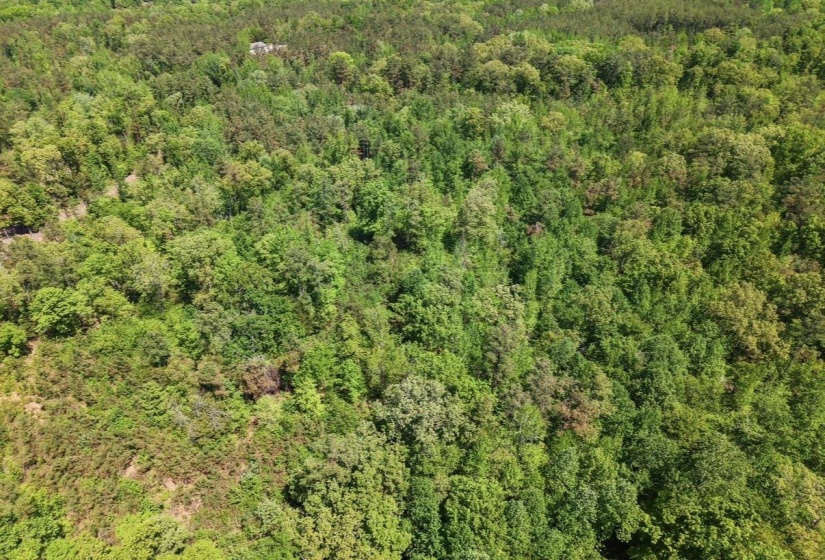 0 ED BARHAM TRACT 1 RD, Bethel Springs, Tennessee 38315, ,Land,For Sale,ED BARHAM TRACT 1,10222149