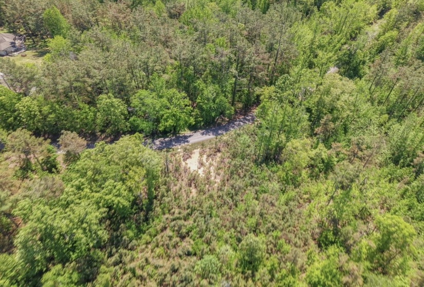 0 ED BARHAM TRACT 1 RD, Bethel Springs, Tennessee 38315, ,Land,For Sale,ED BARHAM TRACT 1,10222149