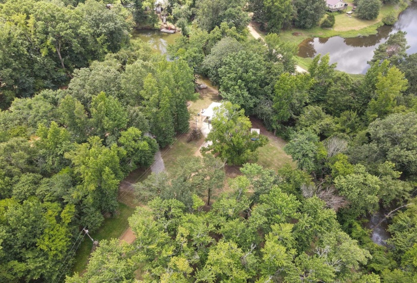 155 EASY WALK LN, Saltillo, Tennessee 38370, 0 , 0 ,0,Land,For Sale,EASY WALK,0,10222154