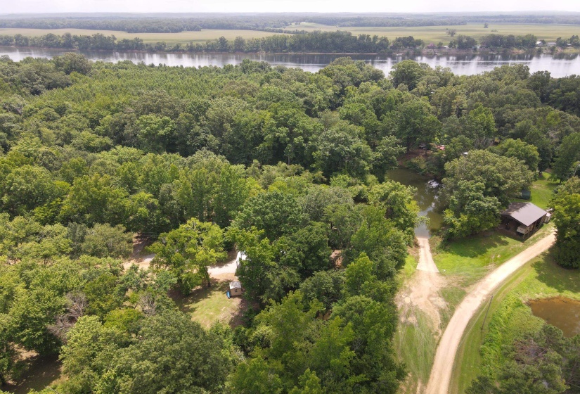 155 EASY WALK LN, Saltillo, Tennessee 38370, 0 , 0 ,0,Land,For Sale,EASY WALK,0,10222154