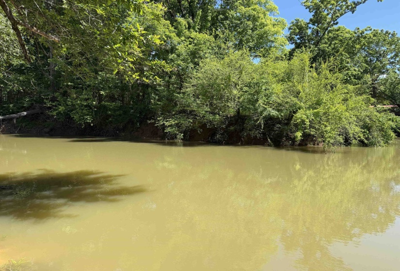 155 EASY WALK LN, Saltillo, Tennessee 38370, 0 , 0 ,0,Land,For Sale,EASY WALK,0,10222154