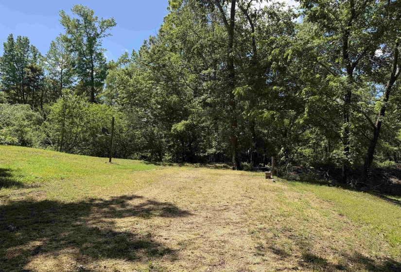 155 EASY WALK LN, Saltillo, Tennessee 38370, 0 , 0 ,0,Land,For Sale,EASY WALK,0,10222154