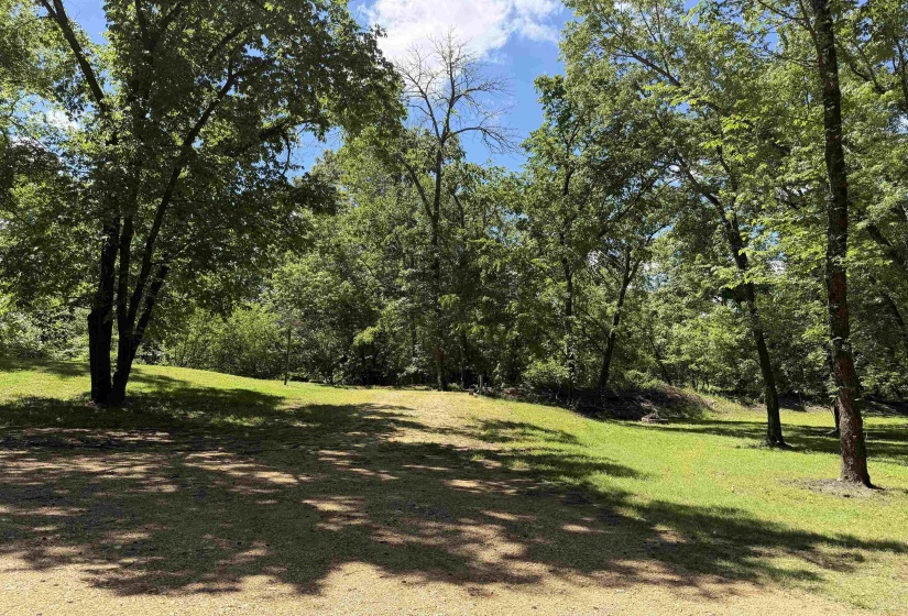 155 EASY WALK LN, Saltillo, Tennessee 38370, 0 , 0 ,0,Land,For Sale,EASY WALK,0,10222154