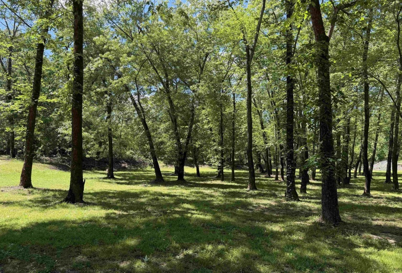 155 EASY WALK LN, Saltillo, Tennessee 38370, 0 , 0 ,0,Land,For Sale,EASY WALK,0,10222154