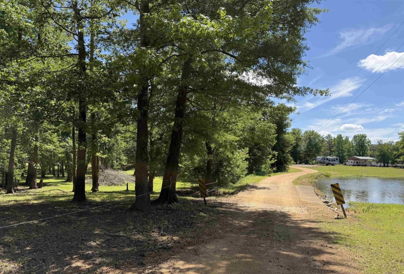 155 EASY WALK LN, Saltillo, Tennessee 38370, 0 , 0 ,0,Land,For Sale,EASY WALK,0,10222154
