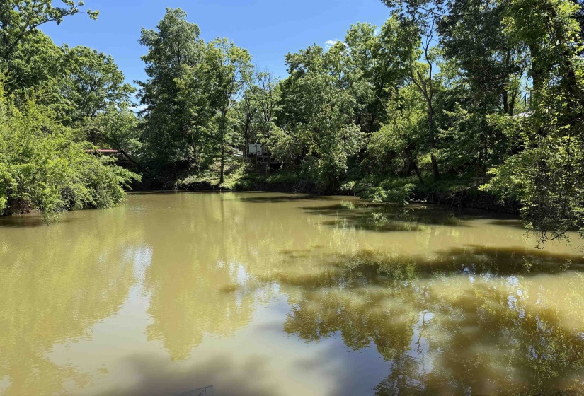 155 EASY WALK LN, Saltillo, Tennessee 38370, 0 , 0 ,0,Land,For Sale,EASY WALK,0,10222154