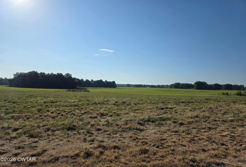 2101 HIGHWAY 18 HWY, Medon, Tennessee 38356-9111, ,Land,For Sale,HIGHWAY 18,10222156