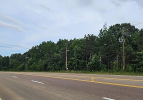 FOREST HILL-IRENE ST, Collierville, Tennessee 38017, ,Land,For Sale,FOREST HILL-IRENE,10222174 FOREST HILL-IRENE ST, Collierville, Tennessee 38017, ,Land,For Sale,FOREST HILL-IRENE,10222174