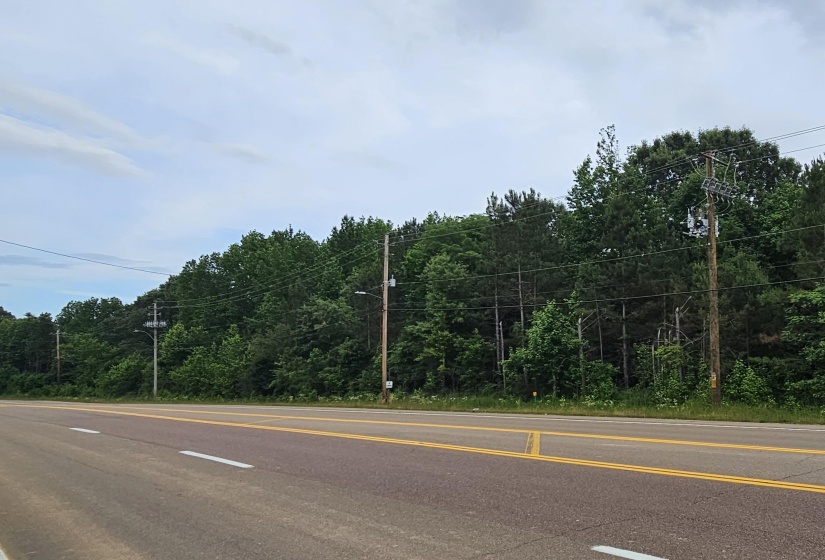 FOREST HILL-IRENE ST, Collierville, Tennessee 38017, ,Land,For Sale,FOREST HILL-IRENE,10222174
