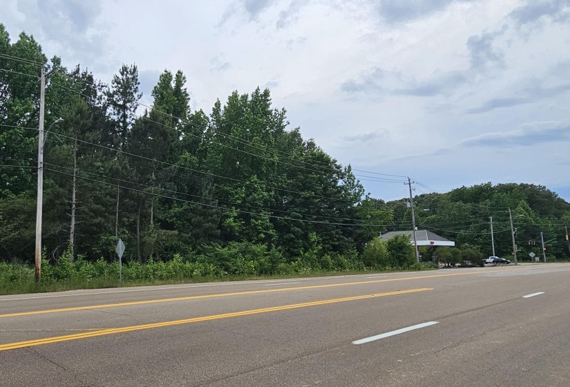 FOREST HILL-IRENE ST, Collierville, Tennessee 38017, ,Land,For Sale,FOREST HILL-IRENE,10222174