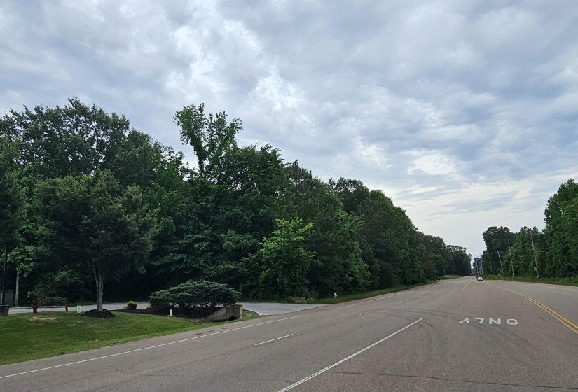 FOREST HILL-IRENE ST, Collierville, Tennessee 38017, ,Land,For Sale,FOREST HILL-IRENE,10222174