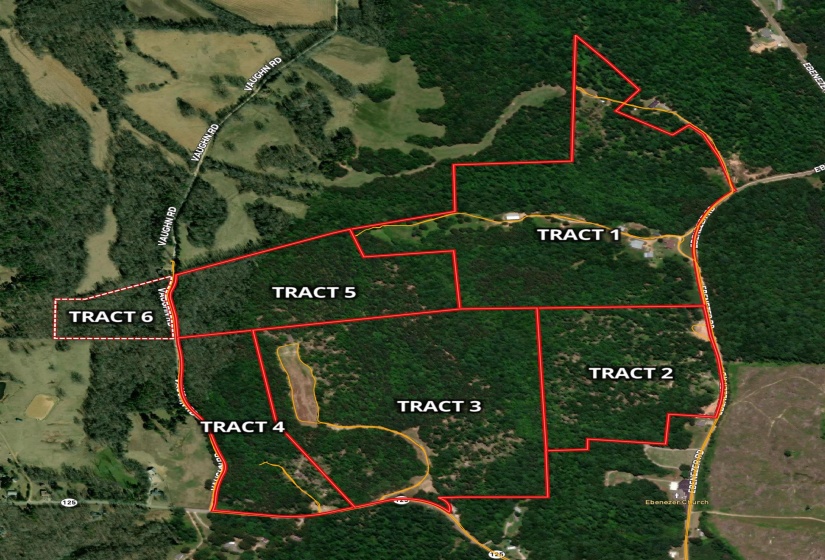 000 EBENEZER RD, Toone, Tennessee 38381, ,Land,For Sale,EBENEZER,10222176