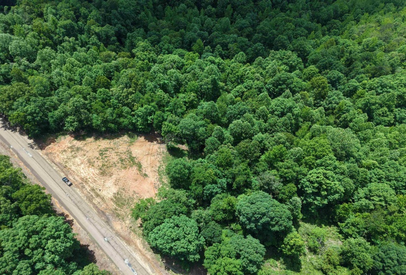 000 EBENEZER RD, Toone, Tennessee 38381, ,Land,For Sale,EBENEZER,10222176