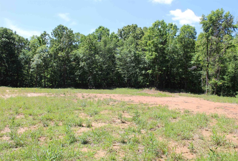 000 EBENEZER RD, Toone, Tennessee 38381, ,Land,For Sale,EBENEZER,10222176