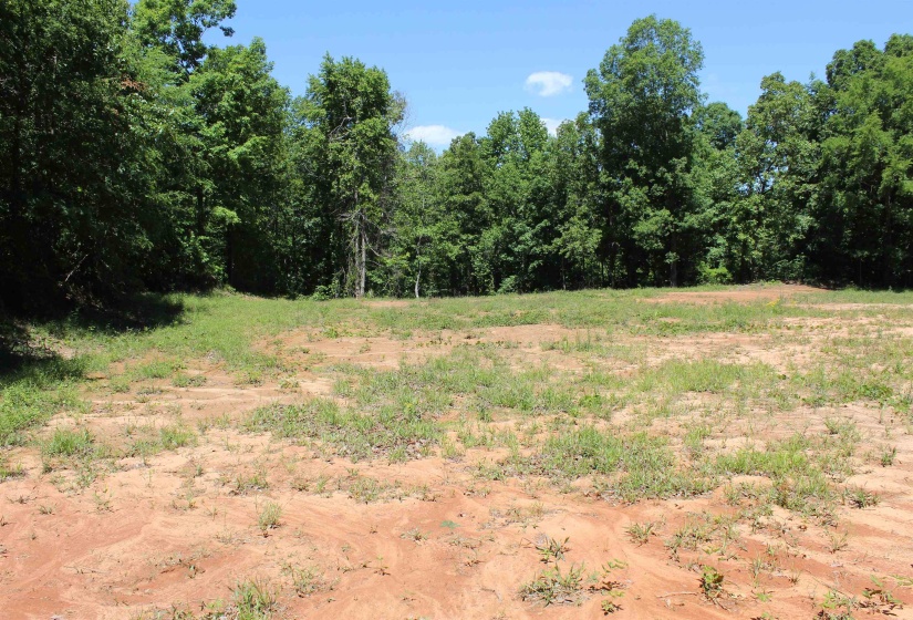 000 EBENEZER RD, Toone, Tennessee 38381, ,Land,For Sale,EBENEZER,10222176