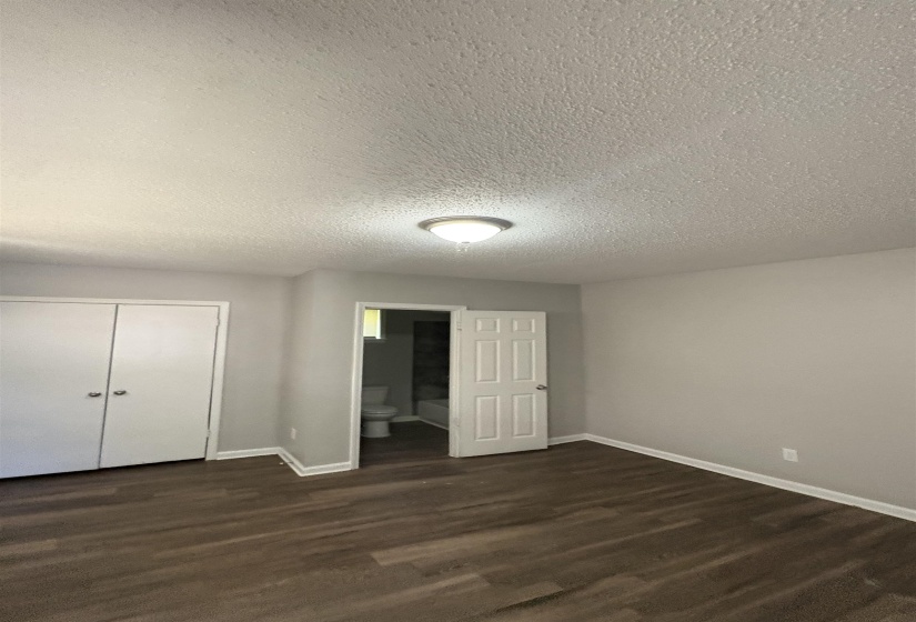Spacious room featuring wood-finish flooring, light gray wall tones, and a flush-mount ceiling light fixture
