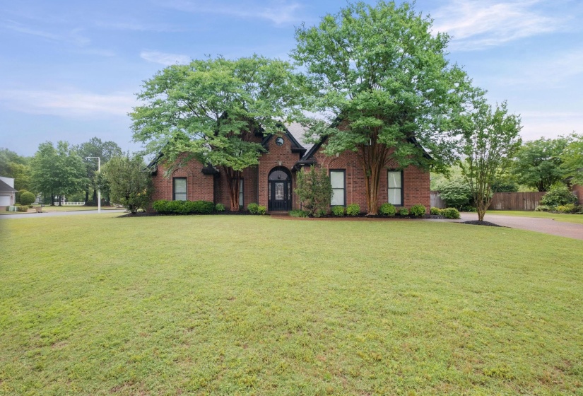Brick facade residence featuring a prominent arched entry, black-framed windows, and mature trees providing shade
