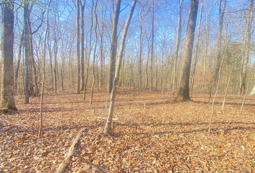 5405 COFFEE LANDING RD, Morris Chapel, Tennessee 38361, 3 Bedrooms Bedrooms, 8 Rooms Rooms,2 BathroomsBathrooms,Residential,For Sale,COFFEE LANDING,10217493