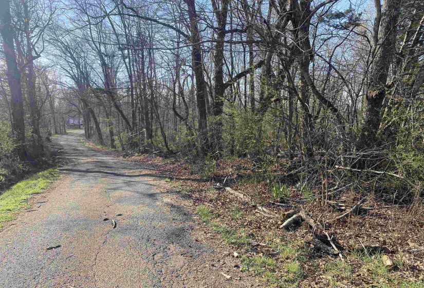 5405 COFFEE LANDING RD, Morris Chapel, Tennessee 38361, 3 Bedrooms Bedrooms, 8 Rooms Rooms,2 BathroomsBathrooms,Residential,For Sale,COFFEE LANDING,10217493