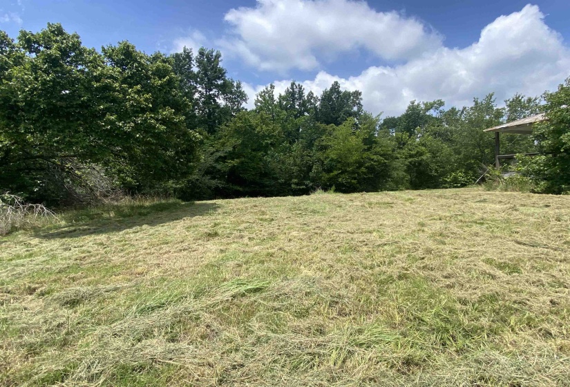5405 COFFEE LANDING RD, Morris Chapel, Tennessee 38361, 3 Bedrooms Bedrooms, 8 Rooms Rooms,2 BathroomsBathrooms,Residential,For Sale,COFFEE LANDING,10217493