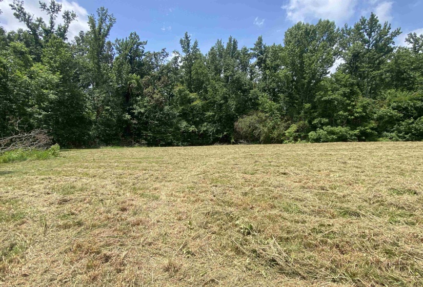 5405 COFFEE LANDING RD, Morris Chapel, Tennessee 38361, 3 Bedrooms Bedrooms, 8 Rooms Rooms,2 BathroomsBathrooms,Residential,For Sale,COFFEE LANDING,10217493