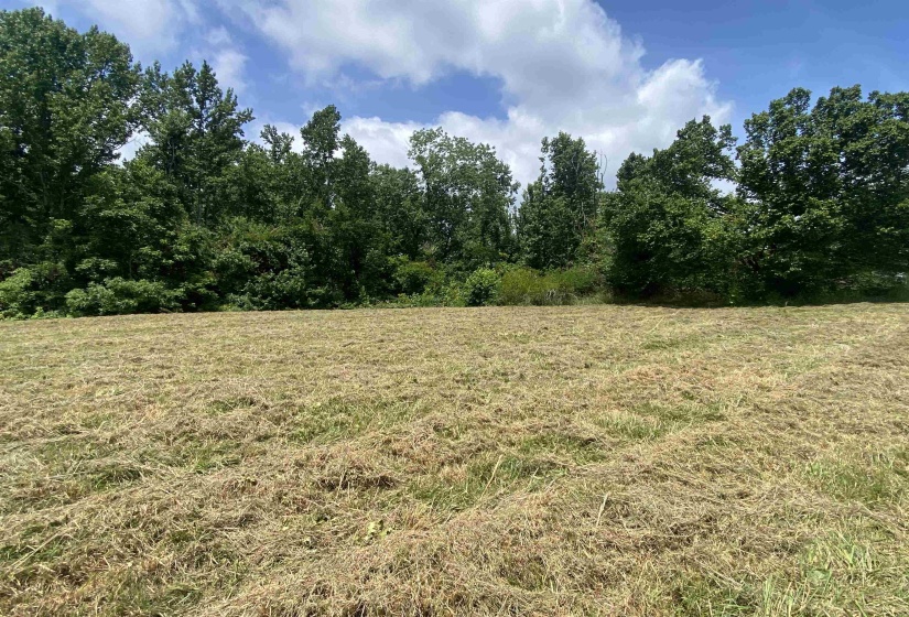 5405 COFFEE LANDING RD, Morris Chapel, Tennessee 38361, 3 Bedrooms Bedrooms, 8 Rooms Rooms,2 BathroomsBathrooms,Residential,For Sale,COFFEE LANDING,10217493