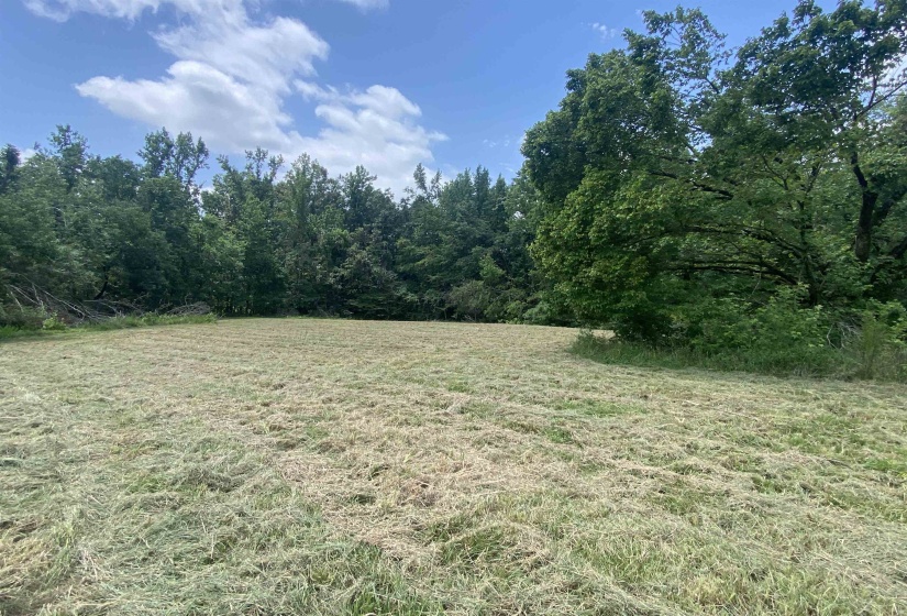 5405 COFFEE LANDING RD, Morris Chapel, Tennessee 38361, 3 Bedrooms Bedrooms, 8 Rooms Rooms,2 BathroomsBathrooms,Residential,For Sale,COFFEE LANDING,10217493