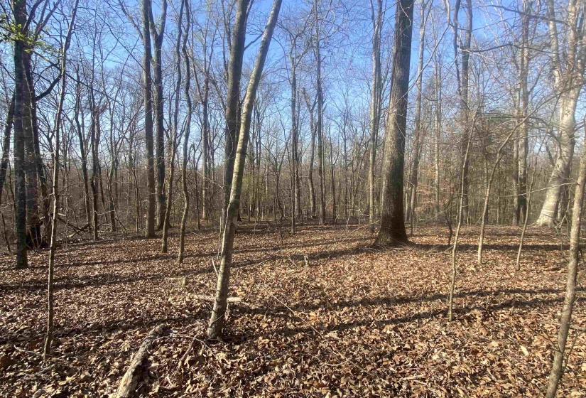 5405 COFFEE LANDING RD, Morris Chapel, Tennessee 38361, 3 Bedrooms Bedrooms, 8 Rooms Rooms,2 BathroomsBathrooms,Residential,For Sale,COFFEE LANDING,10217493