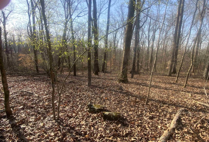 5405 COFFEE LANDING RD, Morris Chapel, Tennessee 38361, 3 Bedrooms Bedrooms, 8 Rooms Rooms,2 BathroomsBathrooms,Residential,For Sale,COFFEE LANDING,10217493