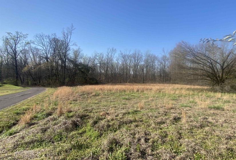 5405 COFFEE LANDING RD, Morris Chapel, Tennessee 38361, 3 Bedrooms Bedrooms, 8 Rooms Rooms,2 BathroomsBathrooms,Residential,For Sale,COFFEE LANDING,10217493