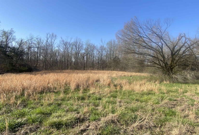5405 COFFEE LANDING RD, Morris Chapel, Tennessee 38361, 3 Bedrooms Bedrooms, 8 Rooms Rooms,2 BathroomsBathrooms,Residential,For Sale,COFFEE LANDING,10217493