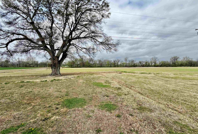 View of green lawn