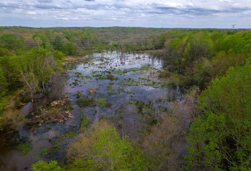 735 BEAVER CANAL LN, Huntingdon, Tennessee 38344, ,Land,For Sale,BEAVER CANAL,10222195