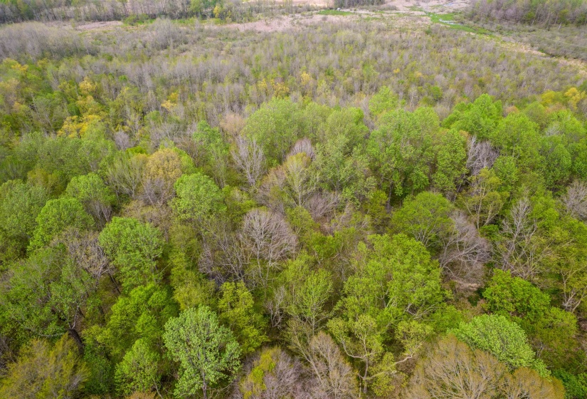 735 BEAVER CANAL LN, Huntingdon, Tennessee 38344, ,Land,For Sale,BEAVER CANAL,10222195
