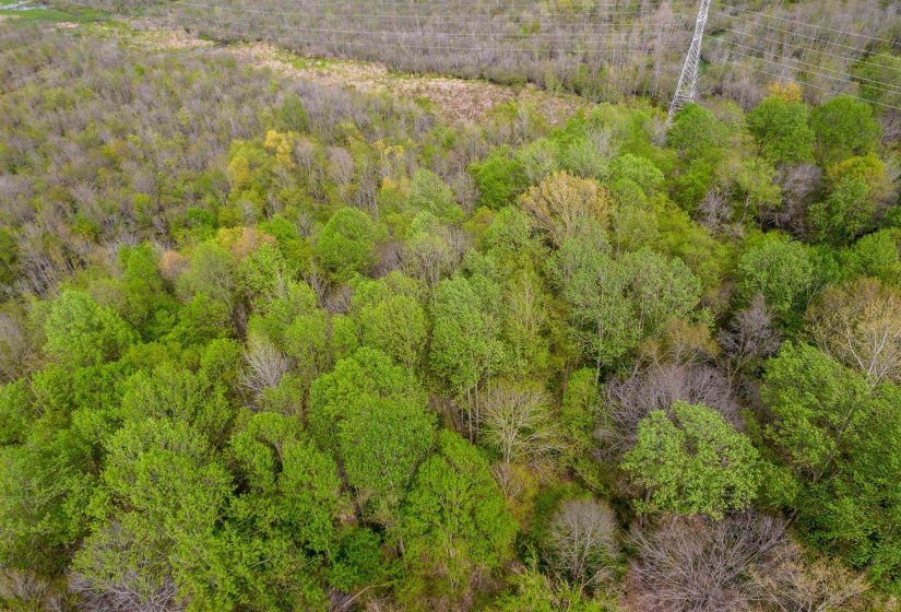 735 BEAVER CANAL LN, Huntingdon, Tennessee 38344, ,Land,For Sale,BEAVER CANAL,10222195