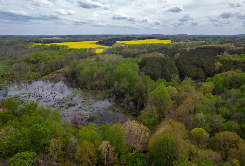 735 BEAVER CANAL LN, Huntingdon, Tennessee 38344, ,Land,For Sale,BEAVER CANAL,10222195
