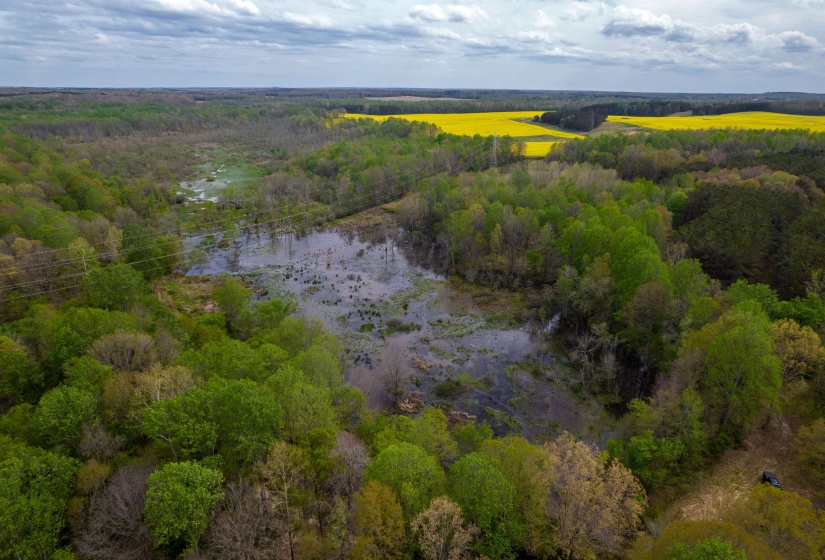 735 BEAVER CANAL LN, Huntingdon, Tennessee 38344, ,Land,For Sale,BEAVER CANAL,10222195
