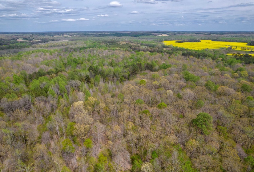 735 BEAVER CANAL LN, Huntingdon, Tennessee 38344, ,Land,For Sale,BEAVER CANAL,10222195
