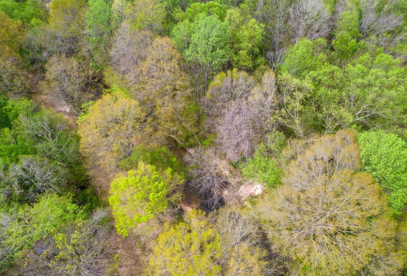 735 BEAVER CANAL LN, Huntingdon, Tennessee 38344, ,Land,For Sale,BEAVER CANAL,10222195