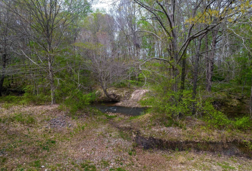 735 BEAVER CANAL LN, Huntingdon, Tennessee 38344, ,Land,For Sale,BEAVER CANAL,10222195