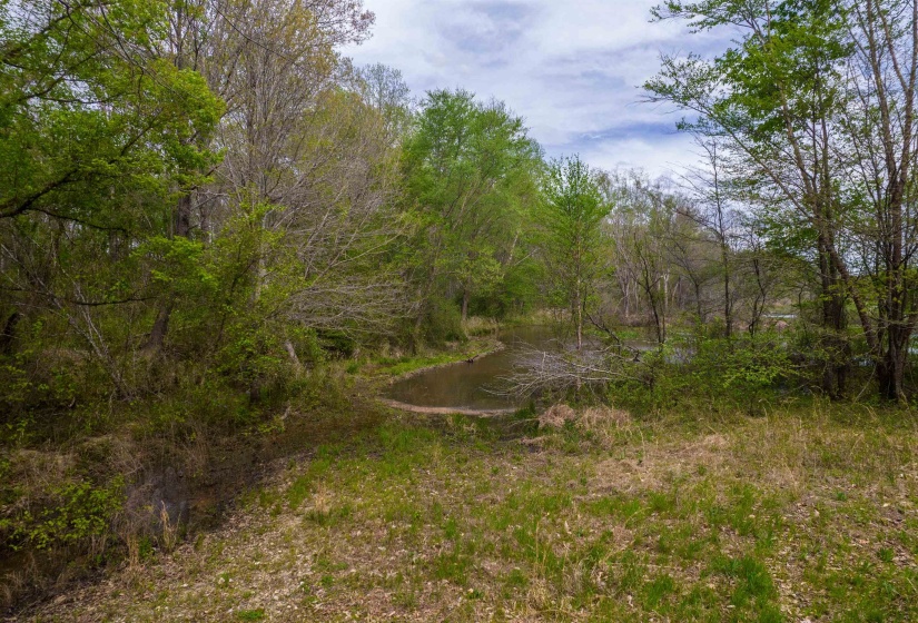 735 BEAVER CANAL LN, Huntingdon, Tennessee 38344, ,Land,For Sale,BEAVER CANAL,10222195