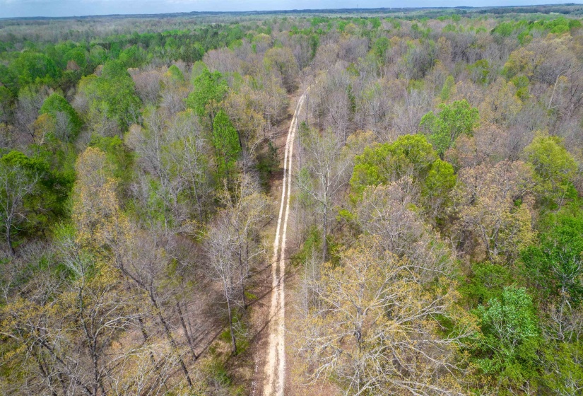 735 BEAVER CANAL LN, Huntingdon, Tennessee 38344, ,Land,For Sale,BEAVER CANAL,10222195