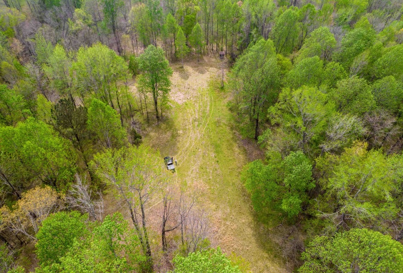 735 BEAVER CANAL LN, Huntingdon, Tennessee 38344, ,Land,For Sale,BEAVER CANAL,10222195