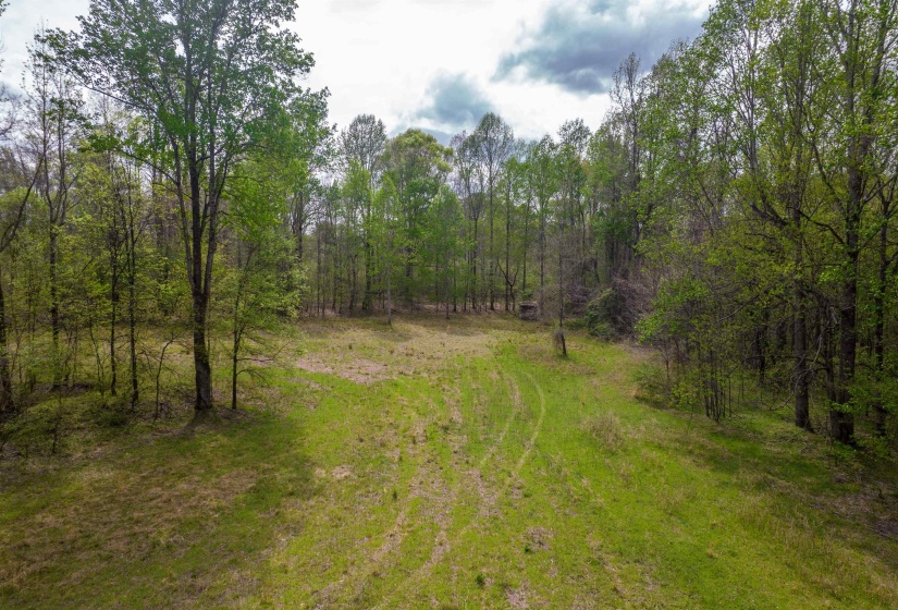 735 BEAVER CANAL LN, Huntingdon, Tennessee 38344, ,Land,For Sale,BEAVER CANAL,10222195