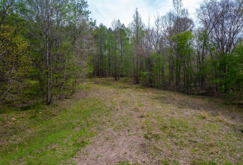 735 BEAVER CANAL LN, Huntingdon, Tennessee 38344, ,Land,For Sale,BEAVER CANAL,10222195