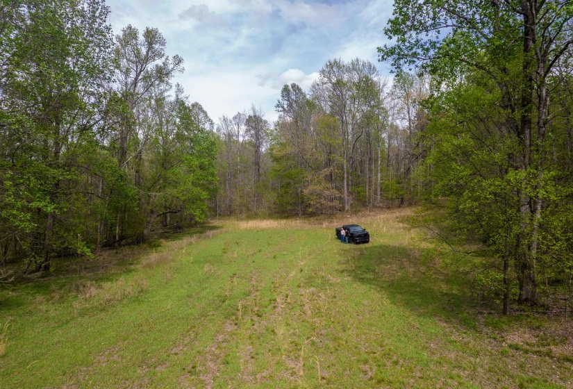 735 BEAVER CANAL LN, Huntingdon, Tennessee 38344, ,Land,For Sale,BEAVER CANAL,10222195