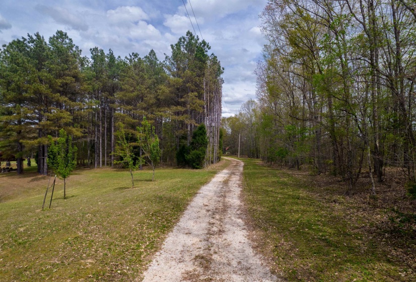 735 BEAVER CANAL LN, Huntingdon, Tennessee 38344, ,Land,For Sale,BEAVER CANAL,10222195